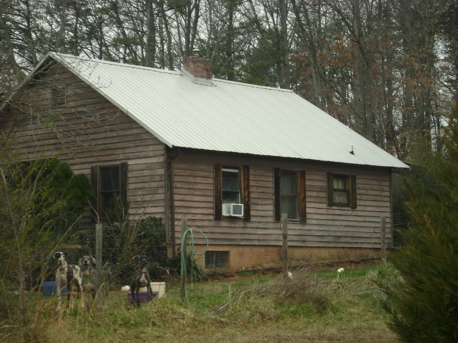White metal roof on an old wood sided farmhouse, from a Asphalt Shingle Roof Repair job in Silver Creek